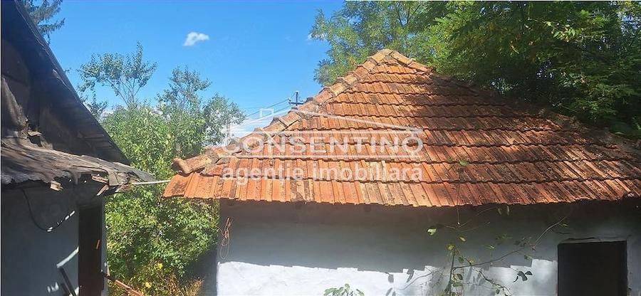 Casă cu Teren 3167 Mp în Măgura