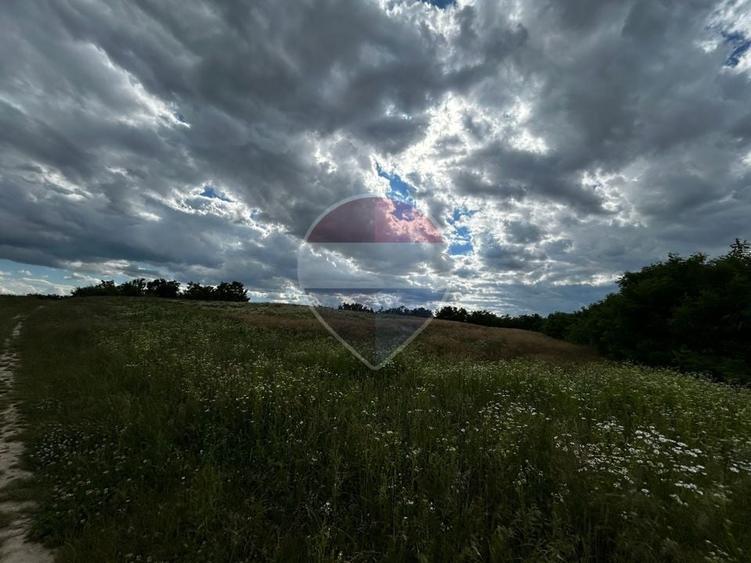Teren agricol intravilan de 5000 mp, în Satulung