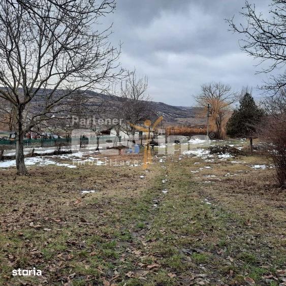 Teren de 10435 mp, în Stănilești