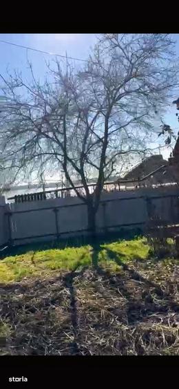 Casa la 200 m de lac!Sat Ulmu, judet Calarasi - 9