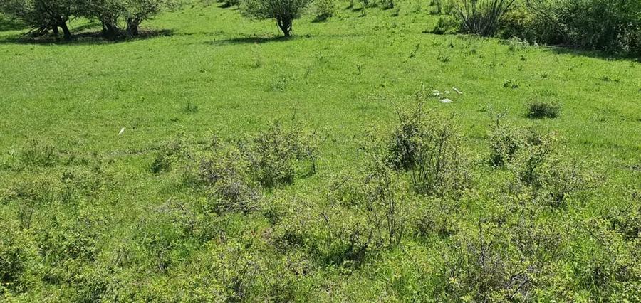Teren de 5850 mp, în Crușovița