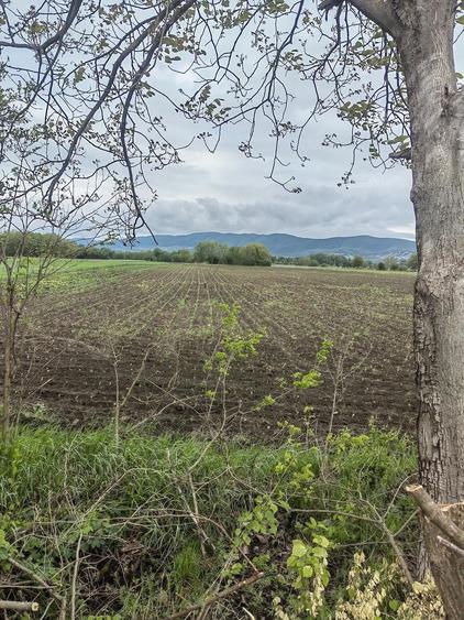 Teren de 5700 mp, în Reea