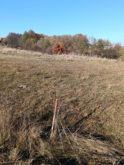 Teren agricol extravilan de 4000 mp, în Dragomirna