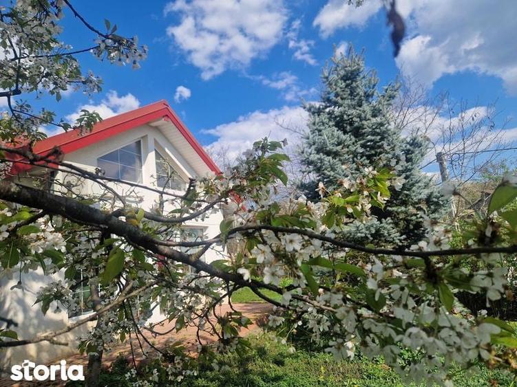 Casă cu 4 camere cu Teren 160 Mp în Bucium