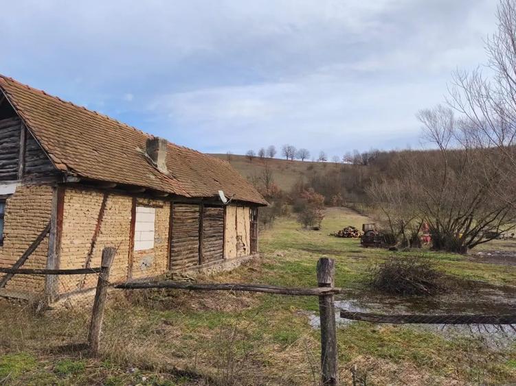 Teren de 6000 mp, în Julița