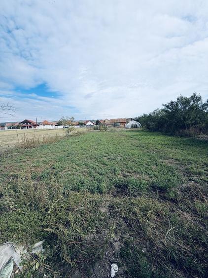 Casă cu 2 camere în Leorinț