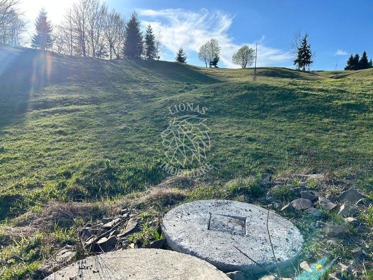 Teren Construcții extravilan de 5000 mp, în Colibița