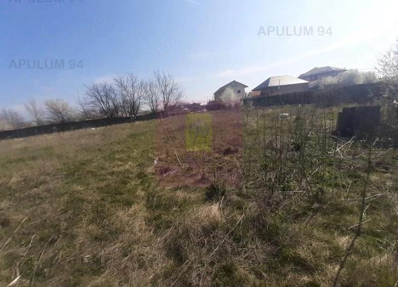 Teren de 4800 mp, în Glina