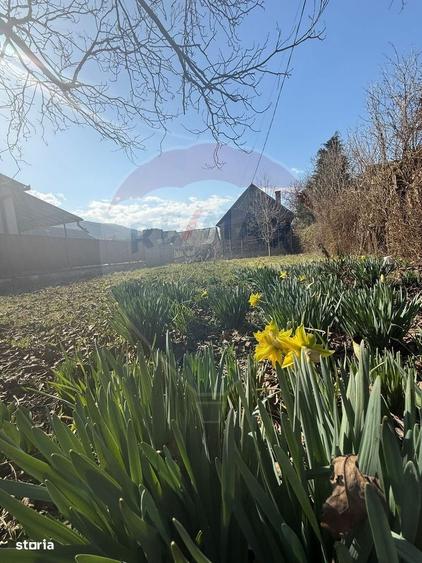Casă cu 3 camere în Valea Cufundoasă