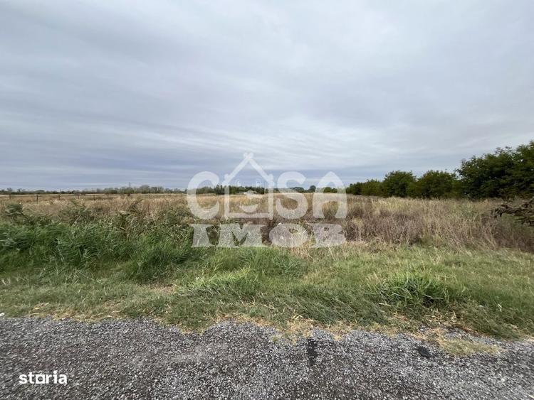 Teren de 15000 mp, în Centură