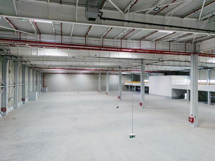 Spațiu industrial, de 9,900 mp, în Dragomirești-Deal