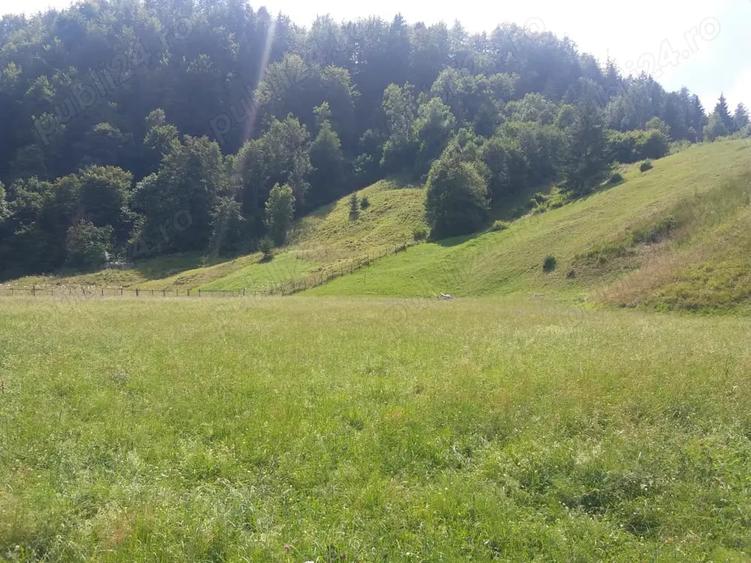 Teren de 3600 mp, în Dâmbovicioara