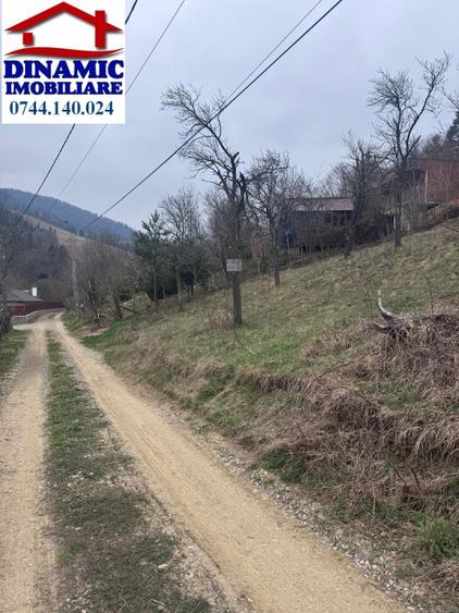 Teren agricol intravilan de 6000 mp, în Bistrița