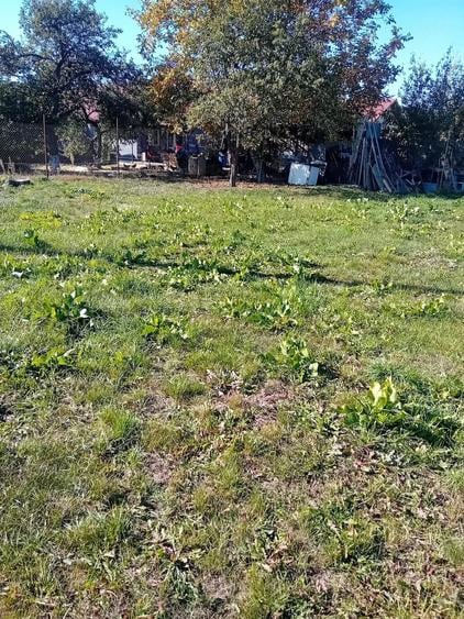 Teren de 325 mp, în Central