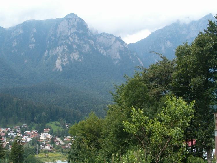 Casă cu 2 camere în Poiana
