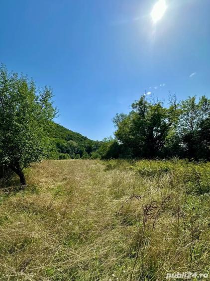 Teren de 2900 mp, în Zam