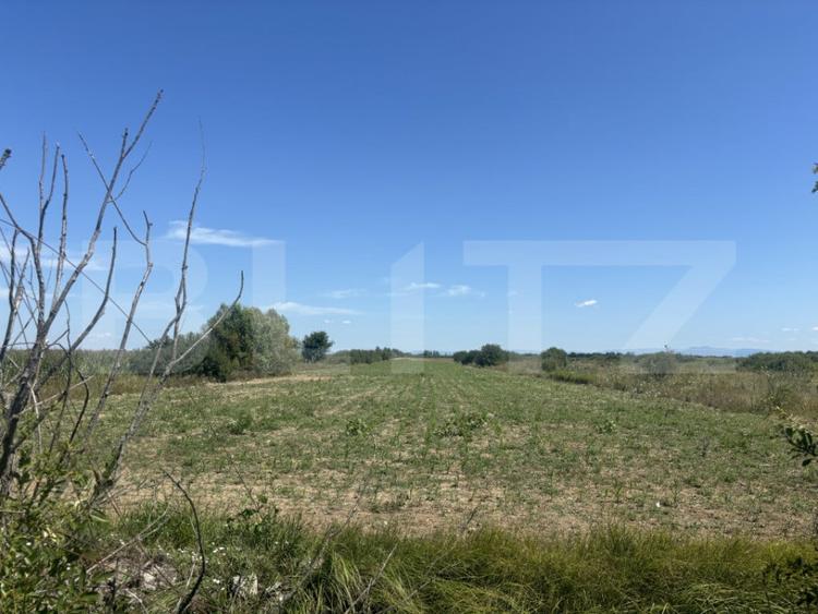 Teren de 62000 mp, în Cionchești
