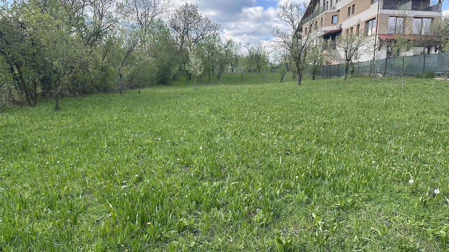 Teren de 3000 mp, în Central