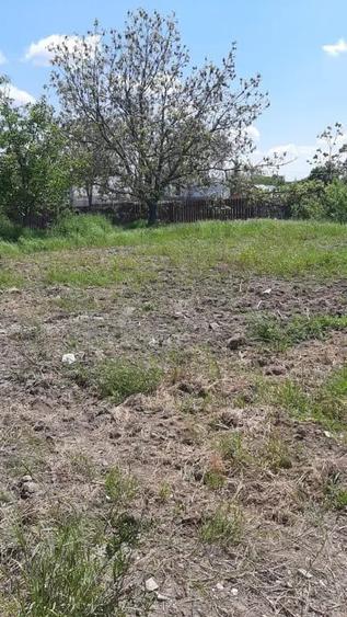 Teren de 7000 mp, în Poșta (Topliceni)