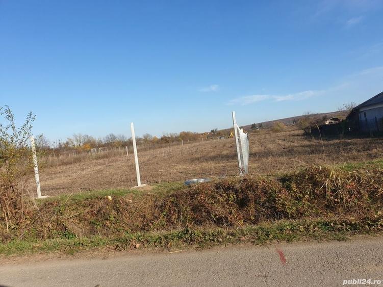 Teren de 8071 mp, în Lipănești
