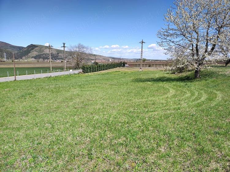 Teren de 3100 mp, în Moldovenești