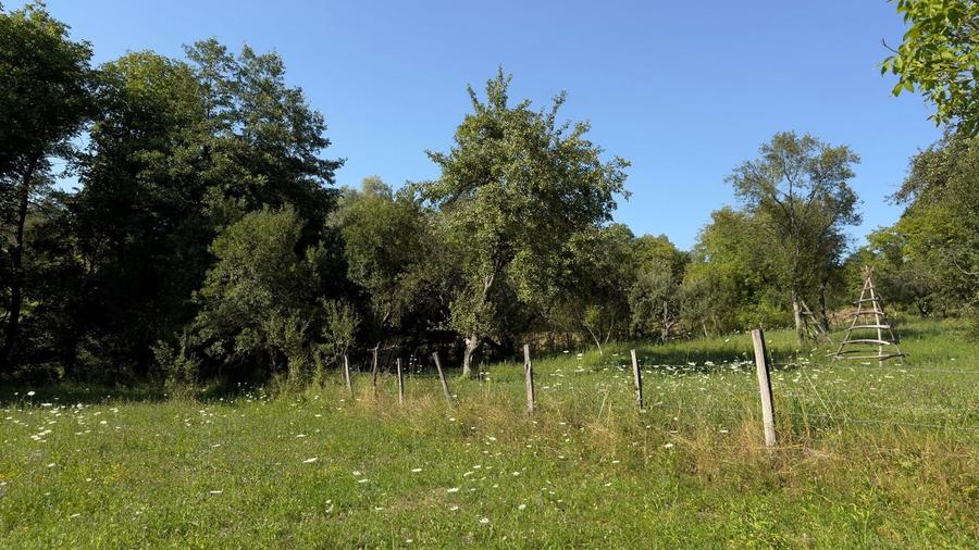 Teren Construcții intravilan de 4653 mp, în Valea Danului