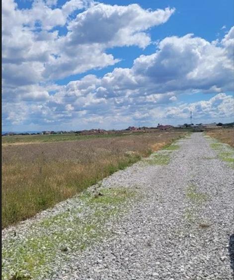 Teren intravilan de vânzare - Zona Grigorescu 2, Cihei | Strada Apateului - 3