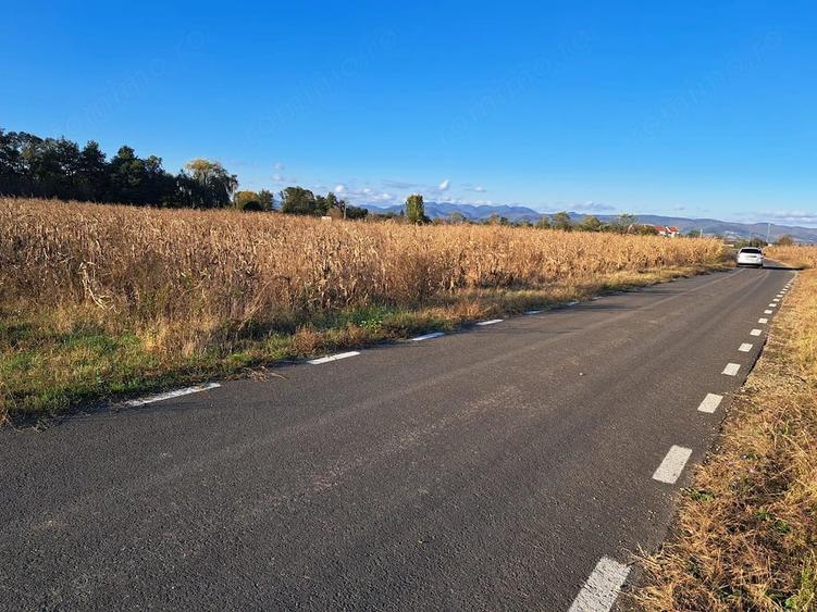 Teren de 7526 mp, în Băcia