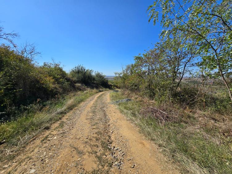 Teren extravilan de 8472 mp, în Ghioroc