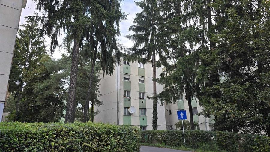 Apartament cu 2 camere nedecomandat în Central