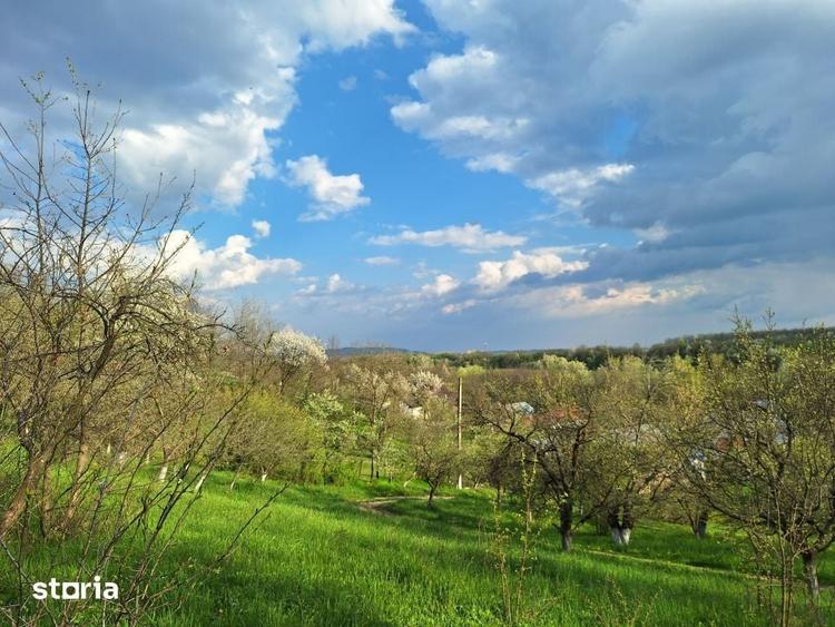 Casă cu 5 camere cu Teren 5950 Mp în Scorțeni