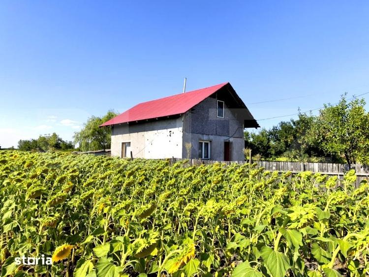 Casă cu 1 camere cu Teren 2700 Mp în Prisăcani