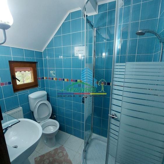 Spațiu comercial, de 450 mp, în Lepșa