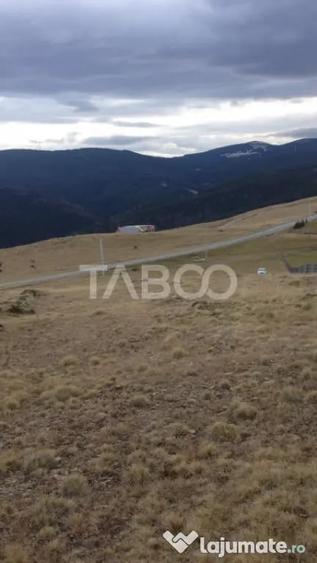 Teren de 3854 mp, în Paltin