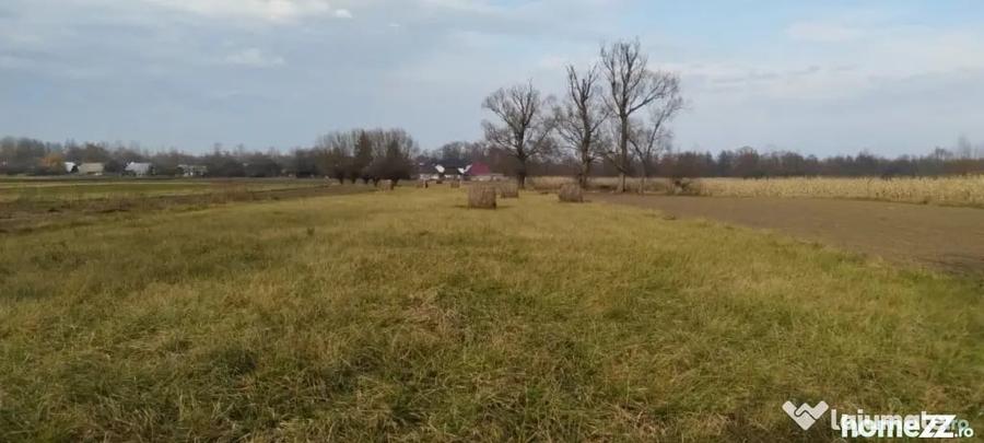 Casă cu 4 camere cu Teren 5400 Mp în Frătăuții Vechi