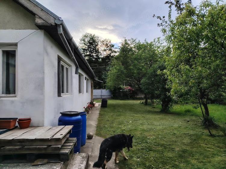 Casă cu 2 camere cu Teren 2500 Mp în Peșteana