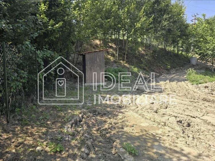 Teren agricol extravilan de 2300 mp, în Cârțișoara