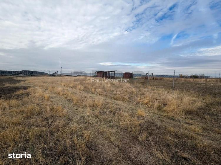 RECO Teren intravilan 550 MP in Livada de Bihor