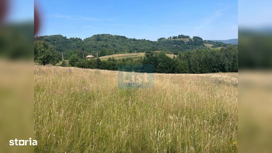 Teren cu poten?ial turistic, cadru natural rar, 20.000 mp Sacuieu - 2