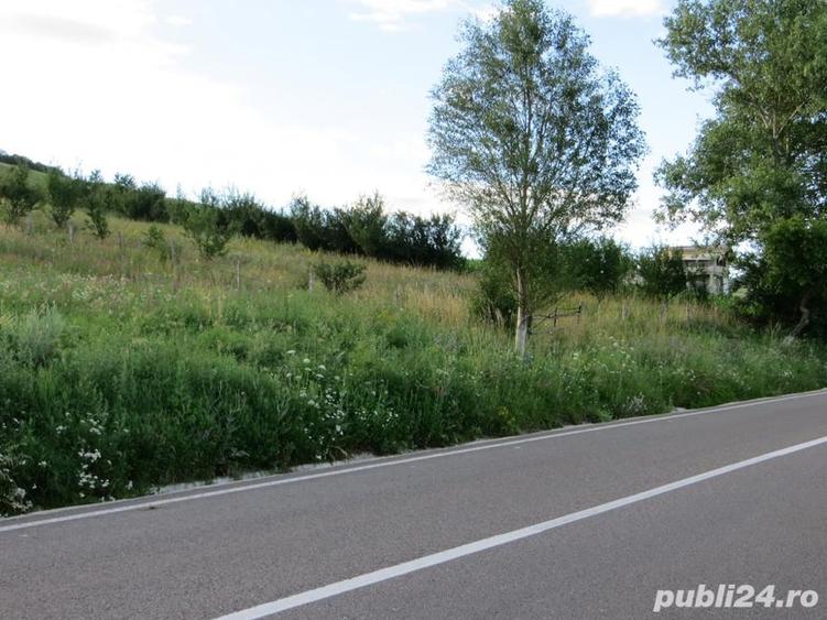 Teren de 3600 mp, în Gârcina