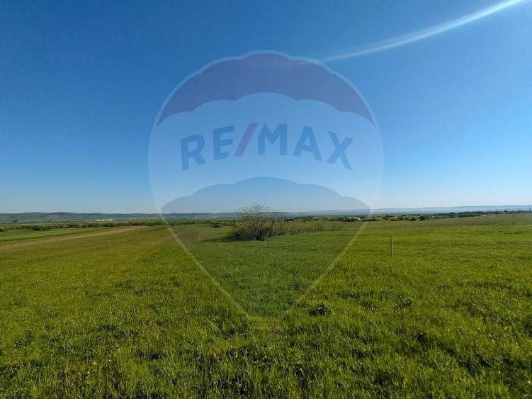 Teren agricol extravilan de 1668 mp, în Gura Râului