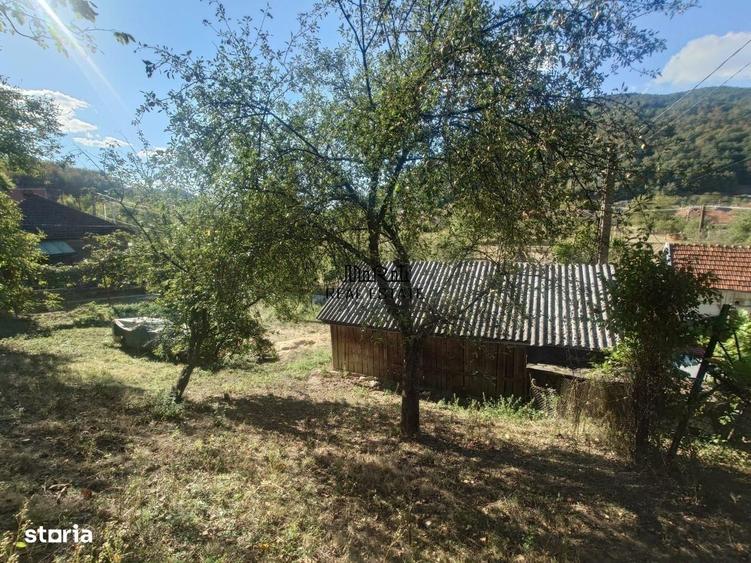 Casa si Teren Criscior - 11