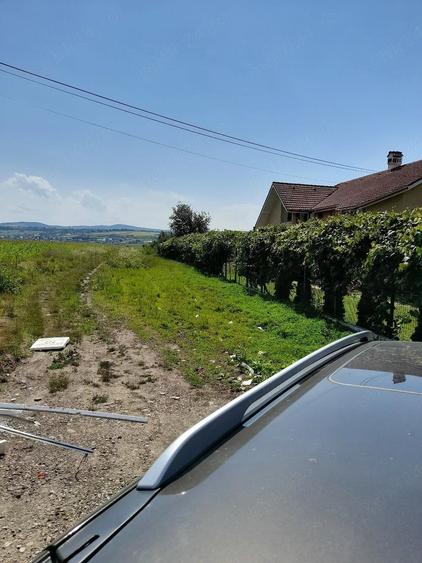 Teren de 3000 mp, în Lilieci
