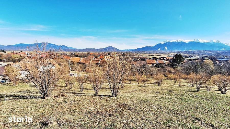 Teren de 17000 mp, în Central