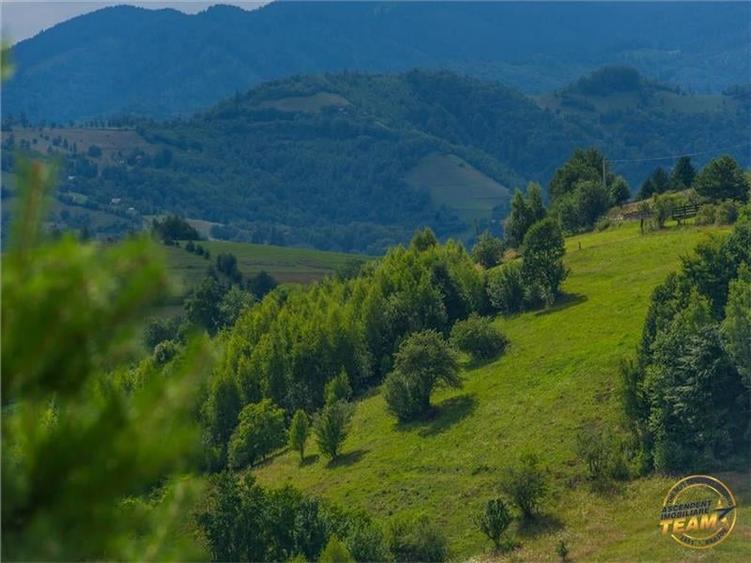 Hotel/Pensiune, de 980 mp, în Plaiul Foii