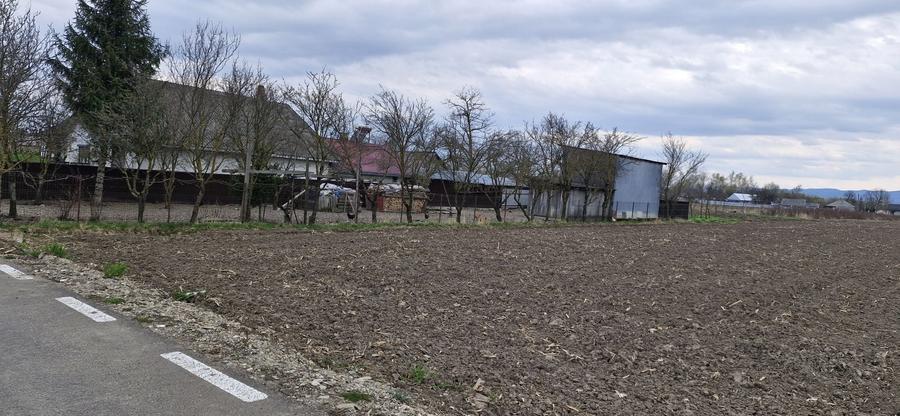 Teren de 2500 mp, în Vadu Moldovei