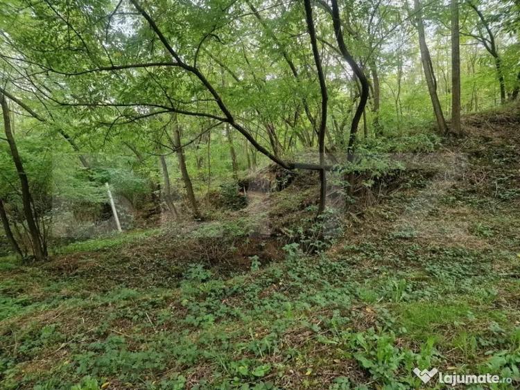 Teren de 79000 mp, în Central