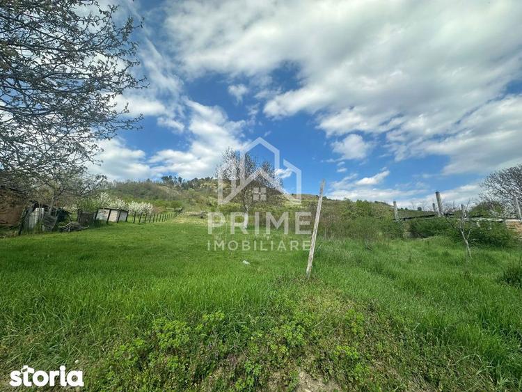 Teren de 900 mp, în Vințu de Jos