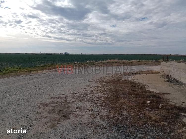 Teren de 13500000 mp, în Central