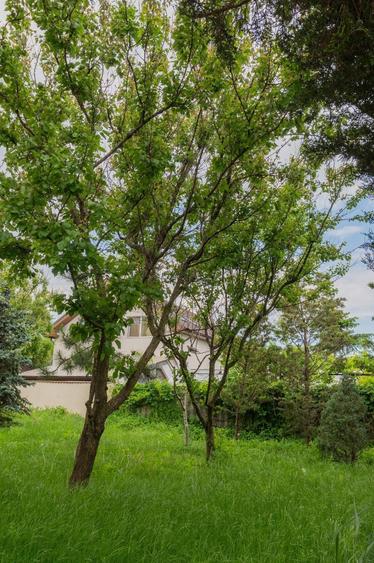 Casă individuală cu 5 camere cu Teren 500 Mp în Lazu